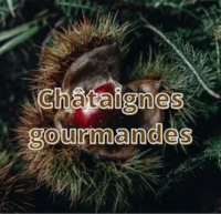 Châtaignes gourmandes